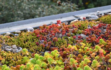 the cost of Finstown green roof installation