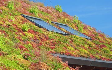 Finstown living roof systems