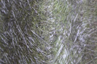 Finstown fibreglass roof work